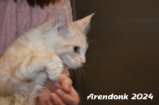 Arendonk 2024 127