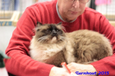 turnhout20150247