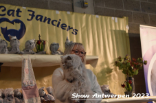 Schow Antwerpen 2023 366