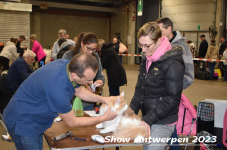 Schow Antwerpen 2023 056