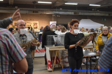 Antwerpen 2019DSC 0333