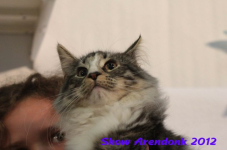 arendonk 2012 344
