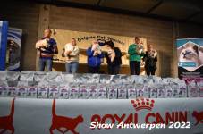Antwerp 2022280
