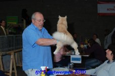 bcf antw 2010 084