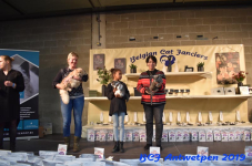 Antwerpen 2019DSC 0270