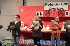 turnhout 2013 img 9961