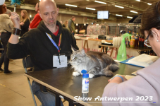 Schow Antwerpen 2023 150
