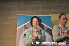 Schow Antwerpen 2023 405