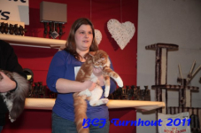 bcf antw 2010 213