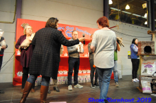 turnhout 2019-0224