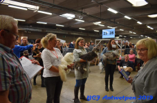 Antwerpen 2019DSC 0323