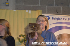 Schow Antwerpen 2023 401