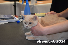Arendonk 2024 066