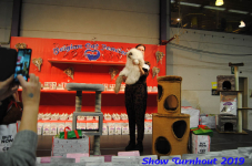 turnhout 2019-0106