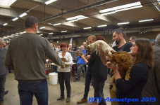 Antwerpen 2019DSC 0339