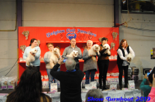 turnhout 2019-0124