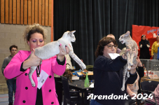 Arendonk 2024 487