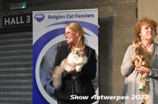 Antwerp 2022377