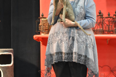 Katttenshow Arendonk 2020 DSC 0444