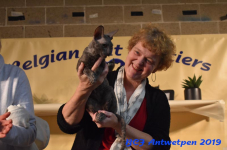 Antwerpen 2019DSC 0406