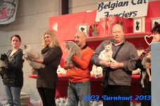 turnhout 2013 img 9958