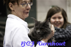  bcf ant 201165