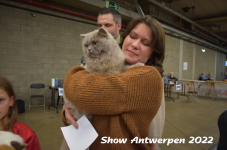 Antwerp 2022204