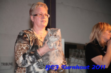bcf antw 2010 275