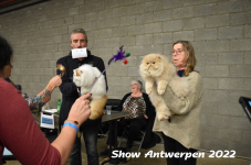 Antwerp 2022232