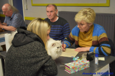 Katttenshow Arendonk 2020 DSC 0286