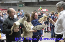 antwerpen 2012 180