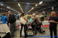antwerp 2018 0114