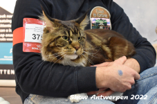 Antwerp 2022264
