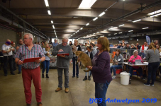Antwerpen 2019DSC 0352