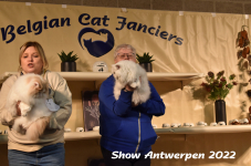 Antwerp 2022273