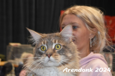 Arendonk 2024 264