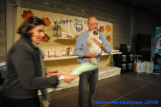 antwerp 2018 0131