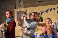 Antwerpen 2019DSC 0318