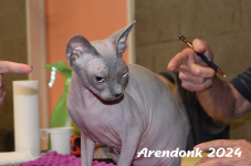 Arendonk 2024 425