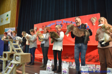 Katttenshow Arendonk 2020 DSC 0762