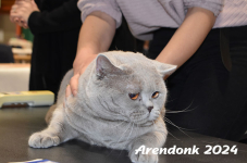 Arendonk 2024 035