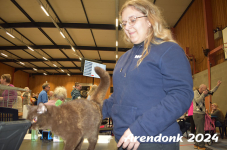 Arendonk 2024 300