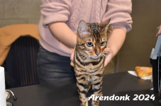 Arendonk 2024 089