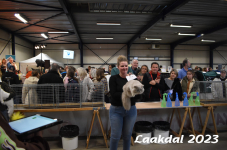 Laakdal 2023 329