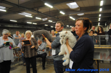 antwerp 2018 0232