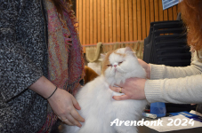 Arendonk 2024 130