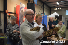 Laakdal 2023 431
