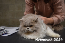 Arendonk 2024 049