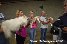 Antwerp 2022165