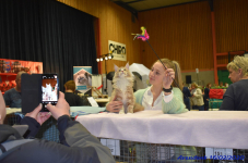 Katttenshow Arendonk 2020 DSC 0199